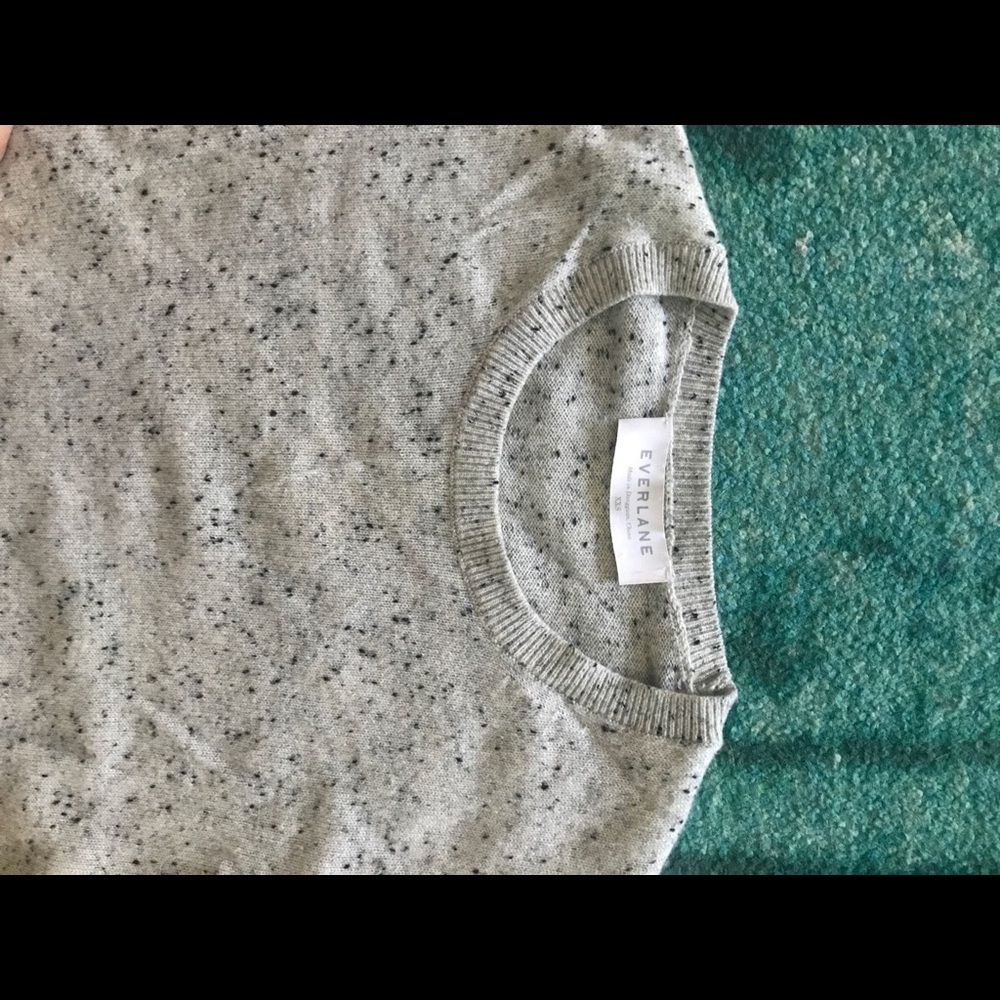 Everlane Cashmere Crewneck XXS